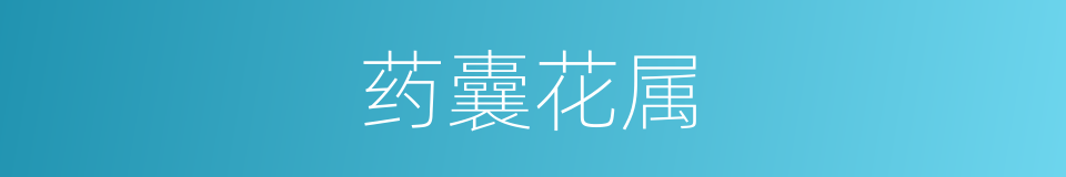 药囊花属的同义词