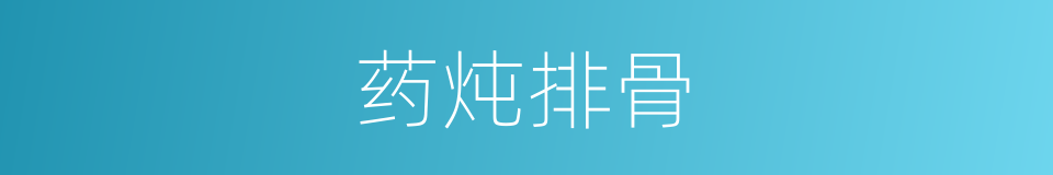 药炖排骨的同义词