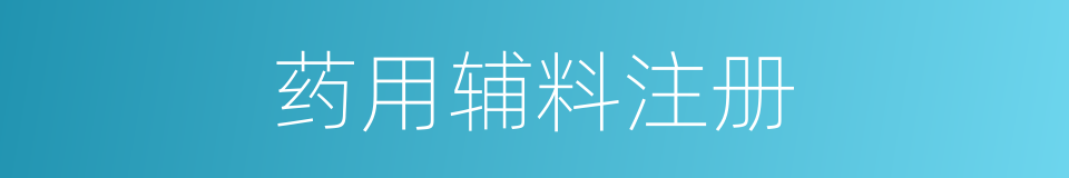 药用辅料注册的同义词
