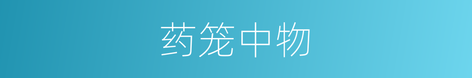 药笼中物的意思