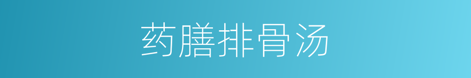 药膳排骨汤的同义词