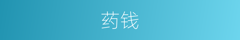 药钱的同义词
