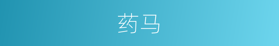 药马的同义词