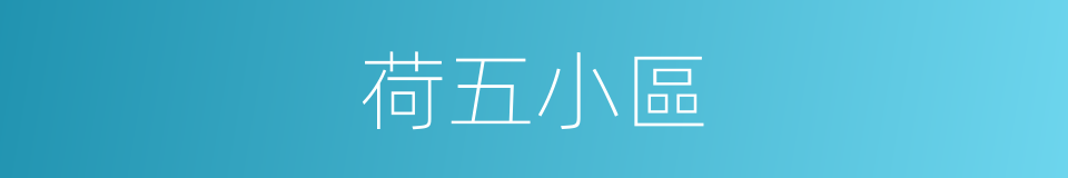 荷五小區的同義詞