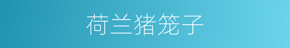 荷兰猪笼子的同义词