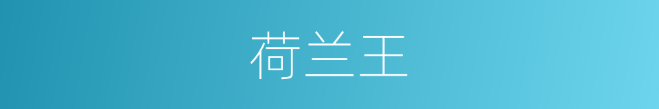 荷兰王的同义词