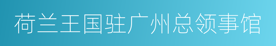 荷兰王国驻广州总领事馆的同义词