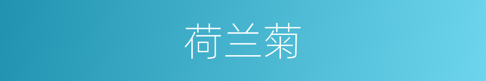 荷兰菊的同义词