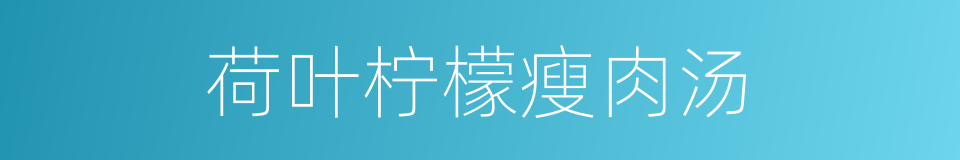 荷叶柠檬瘦肉汤的同义词