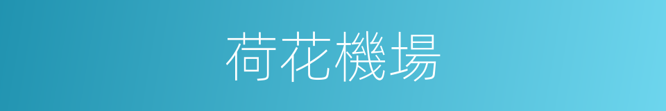 荷花機場的同義詞