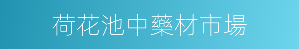 荷花池中藥材市場的同義詞