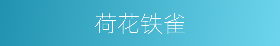 荷花铁雀的同义词