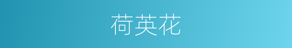 荷英花的同义词