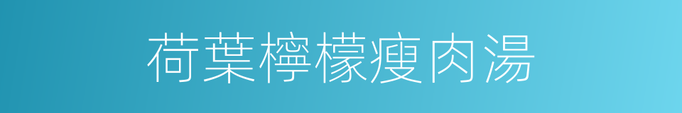 荷葉檸檬瘦肉湯的同義詞