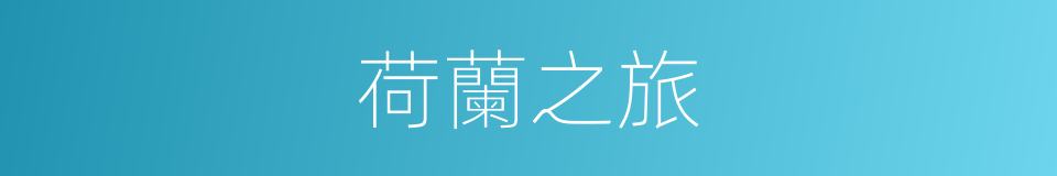 荷蘭之旅的同義詞