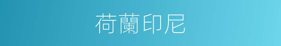 荷蘭印尼的同義詞