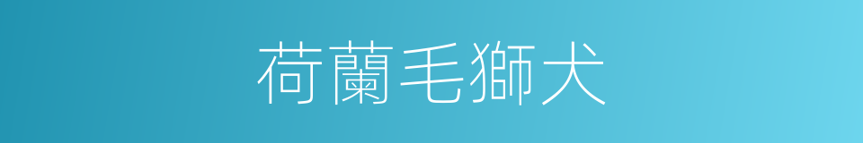 荷蘭毛獅犬的同義詞