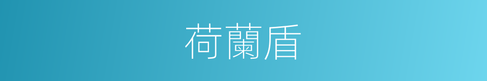 荷蘭盾的同義詞