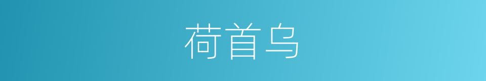 荷首乌的同义词