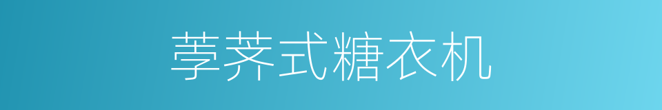 荸荠式糖衣机的同义词