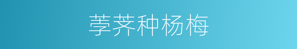 荸荠种杨梅的同义词