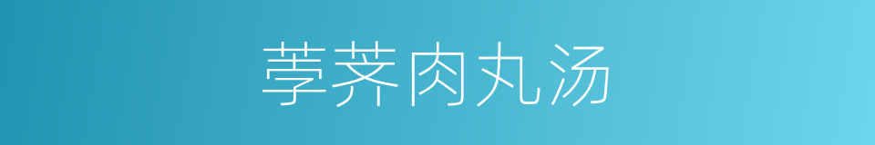 荸荠肉丸汤的同义词