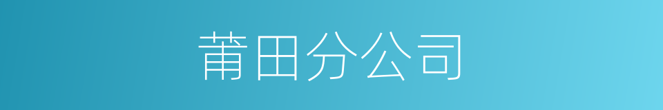 莆田分公司的同义词