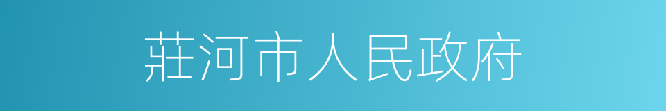 莊河市人民政府的同義詞