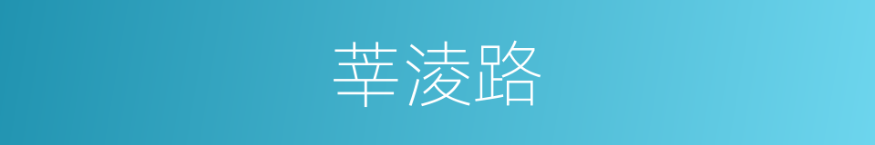 莘淩路的同義詞