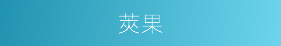莢果的意思