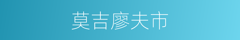 莫吉廖夫市的同义词