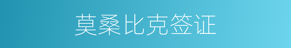 莫桑比克签证的同义词