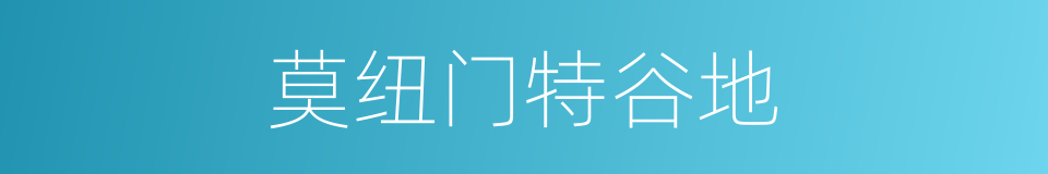 莫纽门特谷地的同义词
