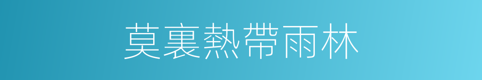 莫裏熱帶雨林的同義詞