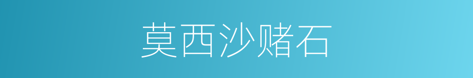 莫西沙赌石的同义词