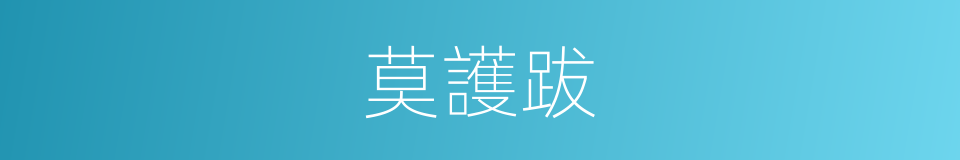 莫護跋的同義詞