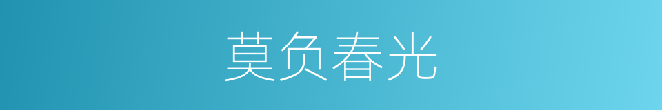 莫负春光的同义词
