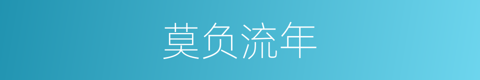 莫负流年的同义词