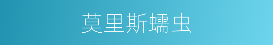 莫里斯蠕虫的同义词