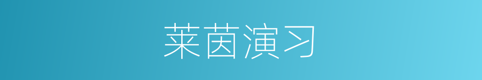 莱茵演习的同义词