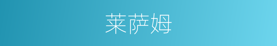 莱萨姆的同义词