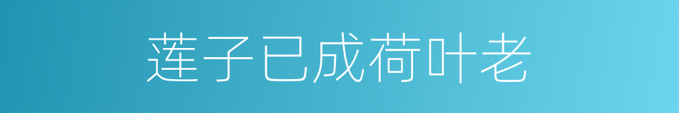 莲子已成荷叶老的同义词
