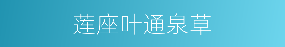 莲座叶通泉草的同义词