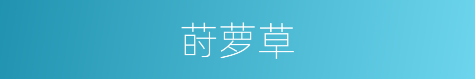 莳萝草的同义词