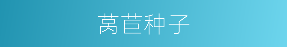 莴苣种子的同义词