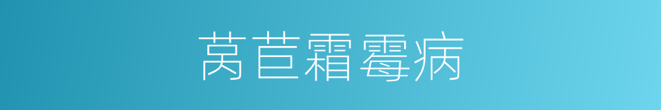 莴苣霜霉病的同义词