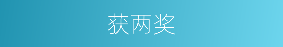 获两奖的同义词