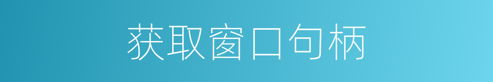 获取窗口句柄的同义词