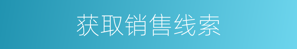 获取销售线索的同义词