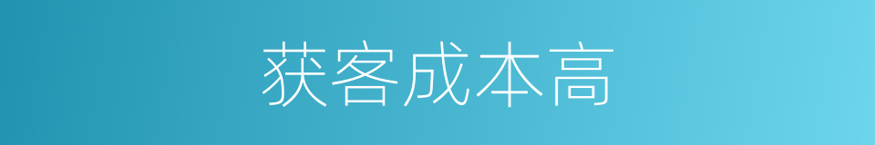 获客成本高的同义词